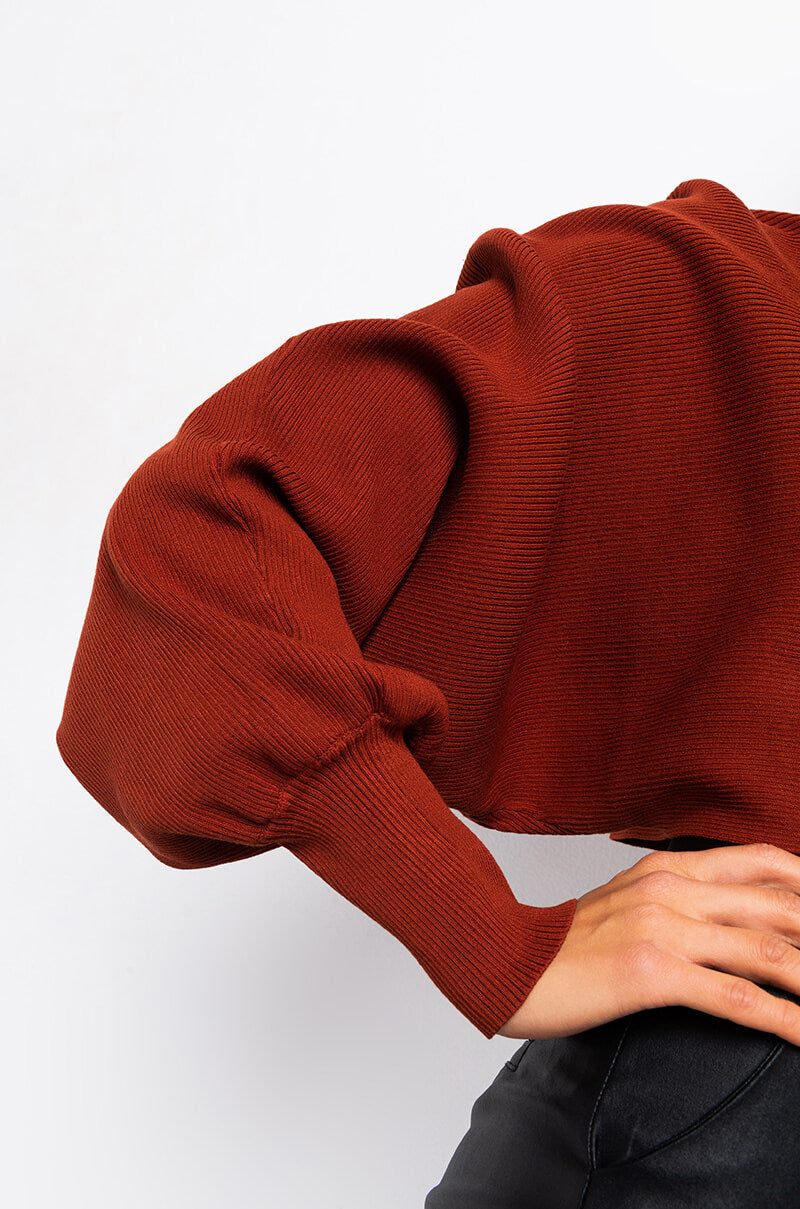 CINNAMON COOKIE SWEATSHIRT rust