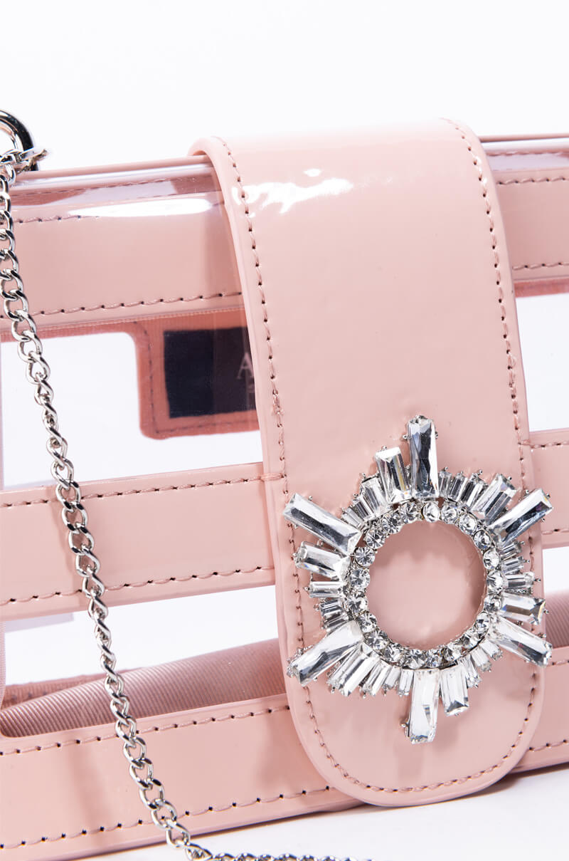 CLEAR NUDE EMBELLISHED PURSE